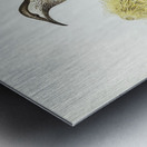 Lunulated Wattle Bird Anthochaera lunulata illustrated by Elizabeth Gould 1804–1841 for John Gould’s 1804-1881 Birds of Australia  Metal print