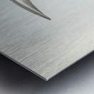 Marsh Tern Hydrochelidon fluviatilis illustrated by Elizabeth Gould 1804–1841 for John Gould’s 1804-1881 Birds of Australia  Metal print