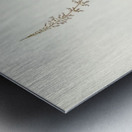 White-fronted Sericornis Sericornis frontalis illustrated by Elizabeth Gould 1804–1841 for John Gould’s 1804-1881 Birds of Australia  Metal print