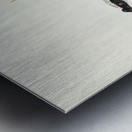 Silvery-crowned Friar Bird Tropidorhynchus argenticeps illustrated by Elizabeth Gould 1804–1841 for John Gould’s 1804-1881 Birds of Australia  Metal print