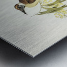 Yellow-throated Friar Bird Tropidorhynchus citreogularis illustrated by Elizabeth Gould 1804–1841 for John Gould’s 1804-1881 Birds of Australia  Metal print