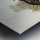 Chestnut-crowned Pomatorhinus Pomatorhinus ruficeps illustrated by Elizabeth Gould 1804–1841 for John Gould’s 1804-1881 Birds of Australia  Metal print