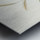 Square-tailed Warbler Cysticola isura illustrated by Elizabeth Gould 1804–1841 for John Gould’s 1804-1881 Birds of Australia  Metal print