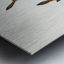 Red-rumped Wren ylacola pyrrhopygia illustrated by Elizabeth Gould 1804–1841 for John Gould’s 1804-1881 Birds of Australia  Metal print