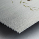 Exile Warbler Cysticola exilis illustrated by Elizabeth Gould 1804–1841 for John Gould’s 1804-1881 Birds of Australia  Metal print