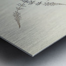 Rufescent Scrub-Bird Atrichia rufescens illustrated by Elizabeth Gould 1804–1841 for John Gould’s 1804-1881 Birds of Australia  Metal print