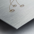 White-winged Wren Malurus leucopterus illustrated by Elizabeth Gould 1804–1841 for John Gould’s 1804-1881 Birds of Australia  Metal print