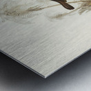 Yellow-throated Sericornis Sericornis citreogularis illustrated by Elizabeth Gould 1804–1841 for John Gould’s 1804-1881 Birds of Australia  Metal print