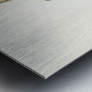 Rufous Tree-Creeper Climacteris rufa illustrated by Elizabeth Gould 1804–1841 for John Gould’s 1804-1881 Birds of Australia  Metal print