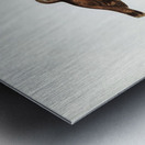 Brown Tree-Creeper Climacteris scandens illustrated by Elizabeth Gould 1804–1841 for John Gould’s 1804-1881 Birds of Australia  Metal print