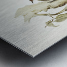 Red-eyebrowed Tree-Creeper Climacteris crythrops illustrated by Elizabeth Gould 1804–1841 for John Gould’s 1804-1881 Birds of Australia  Metal print