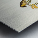 Plumed Honey-eater Ptilotis plumulus illustrated by Elizabeth Gould 1804–1841 for John Gould’s 1804-1881 Birds of Australia  Metal print