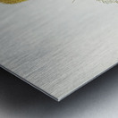 Little Acanthiza Acanthiza nana illustrated by Elizabeth Gould 1804–1841 for John Gould’s 1804-1881 Birds of Australia  Metal print