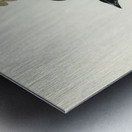 Keraudrens Crow-Shrike Manucodia Keraudreni illustrated by Elizabeth Gould 1804–1841 for John Gould’s 1804-1881 Birds of Australia  Metal print