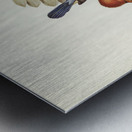 Yellow-billed Kingfisher Halcyon flavirostris illustrated by Elizabeth Gould 1804–1841 for John Gould’s 1804-1881 Birds of Australia  Metal print