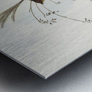 Emu Wren tipiturus malachurus illustrated by Elizabeth Gould 1804–1841 for John Gould’s 1804-1881 Birds of Australia  Metal print