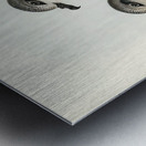 Soft-plumaged Petrel Procellaria mollis illustrated by Elizabeth Gould 1804–1841 for John Gould’s 1804-1881 Birds of Australia  Metal print