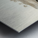 Cooks Petrel Procellaria Cookii illustrated by Elizabeth Gould 1804–1841 for John Gould’s 1804-1881 Birds of Australia  Metal print