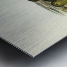 Ground Parakeet Pezoporus formosus illustrated by Elizabeth Gould 1804–1841 for John Gould’s 1804-1881 Birds of Australia  Metal print