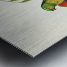 Scaly-breasted Lorikeet Trichoglossus chlorolepidotus illustrated by Elizabeth Gould 1804–1841 for John Gould’s 1804-1881 Birds of Australia  Metal print