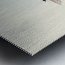 Allied Petrel Puffinus assimilis illustrated by Elizabeth Gould 1804–1841 for John Gould’s 1804-1881 Birds of Australia  Metal print