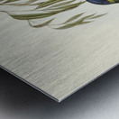 Australian Curlew Numenius Australis illustrated by Elizabeth Gould 1804–1841 for John Gould’s 1804-1881 Birds of Australia  Metal print