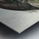 Glossy Ibis Falcinellus igneus illustrated by Elizabeth Gould 1804–1841 for John Gould’s 1804-1881 Birds of Australia  Metal print