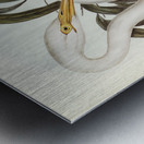 Australian Egret Hrodias syrmatophorus illustrated by Elizabeth Gould 1804–1841 for John Gould’s 1804-1881 Birds of Australia  Metal print