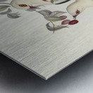 White-headed Fruit Pigeon Carpophaga leucomela illustrated by Elizabeth Gould 1804–1841 for John Gould’s 1804-1881 Birds of Australia  Metal print