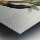Cockatoo Parakeet Nymphicus Novae Hollandiae illustrated by Elizabeth Gould 1804–1841 for John Gould’s 1804-1881 Birds of Australia  Metal print