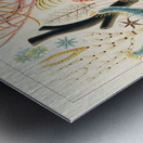 Great Barrier Reef Echinoderms from The Great Barrier Reef of Australia 1893 by William Saville-Kent 1845-1908. Fig 1: Isis HippurisFig 2: Queensland black coral Antipathes abiesFig 3: Ctenocella PectinataFig 4: Gorgonia AustraliensisFig 5: Melitodes Metal print