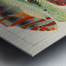 Great Barrier Reef Fishes from The Great Barrier Reef of Australia 1893 by William Saville-Kent 1845-1908.  Fig 1: Orange banded parrot fish Xiphochilus Fasciatus Fig 2: Hodgkinson&39s parrot fish Choerops Hodgkinsonii Fig 3: Scarlet banded Parrot fish C Metal print