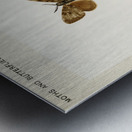 Gypsy Moth - Male Female Ocneria Dispar from Moths and Butterflies of the United States 1900 by Sherman F. Denton 1856-1937.  Metal print