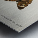 Buckeye Junonia Coenia from Moths and butterflies of the United States 1900 by Sherman F. Denton 1856-1937.  Metal print