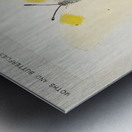 Aphrodite Fritillary Argynnis Aphrodite from Moths and butterflies of the United States 1900 by Sherman F. Denton 1856-1937.  Metal print