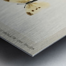 Small Cabbage White Pieris Rapae from Moths and butterflies of the United States 1900 by Sherman F. Denton 1856-1937.  Metal print