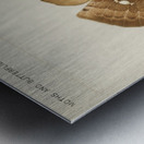 Polyphemus Moth Telea Polyphemus from Moths and Butterflies of the United States 1900 by Sherman F. Denton 1856-1937.  Metal print