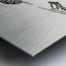 Metamorphosis of Papilio Butterfly from Moths and butterflies of the United States 1900 by Sherman F. Denton 1856-1937.  Metal print