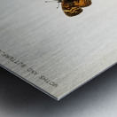 Pearl Crescent Phyciodes Tharos from Moths and butterflies of the United States 1900 by Sherman F. Denton 1856-1937.  Metal print