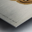 Polyphemus Moth Telea Polyphemus from Moths and Butterflies of the United States 1900 by Sherman F. Denton 1856-1937.  Metal print