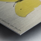 Angled Sulphur Gonepteryx Maerula from Moths and butterflies of the United States 1900 by Sherman F. Denton 1856-1937.  Metal print