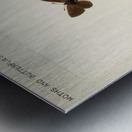 Giant Swallowtail Papilio Cresphontes from Moths and butterflies of the United States 1900 by Sherman F. Denton 1856-1937.  Metal print