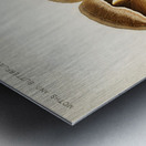 Ailanthus Silkmoth Attacus Cynthia from Moths and Butterflies of the United States 1900 by Sherman F. Denton 1856-1937.  Metal print