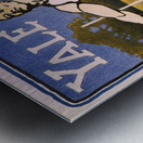 Yale 1903 Poster by Bristow Adams American 1875 – 1956 Metal print