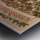 Le Petit Nab Poster by Eugène Samuel Grasset Metal print