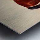 Cleveland Bay Stallion Sultan Frank Babbage English 1858–1916 Metal print