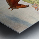 Persimmon Metal print