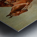 Polo Ponies Romany And Tith Owned By Sir J. Barker Frederic Whiting English 1874–1962 Metal print