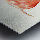 The Muscular System of the Horse Amedeo John Engel Terzi Italian 1872-1956 Metal print