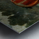 Shire Stallion Halstead Royal Duke John Hanson Walker Jr. English 1844-1933 Metal print